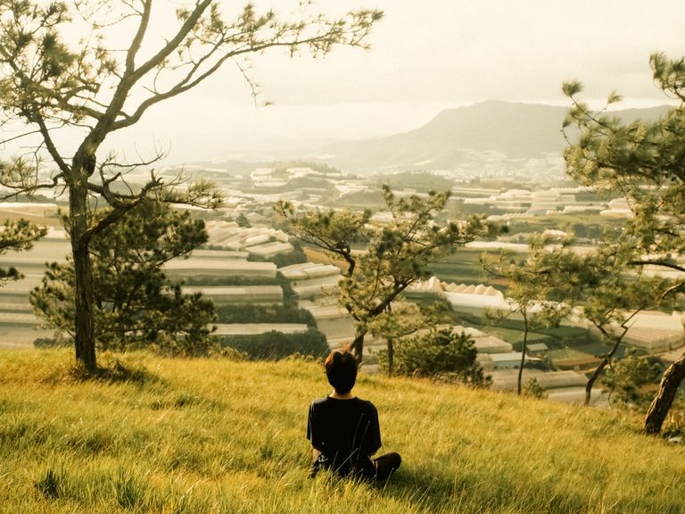 A serene scene of a person enjoying the view of rolling fields and trees at sunset.