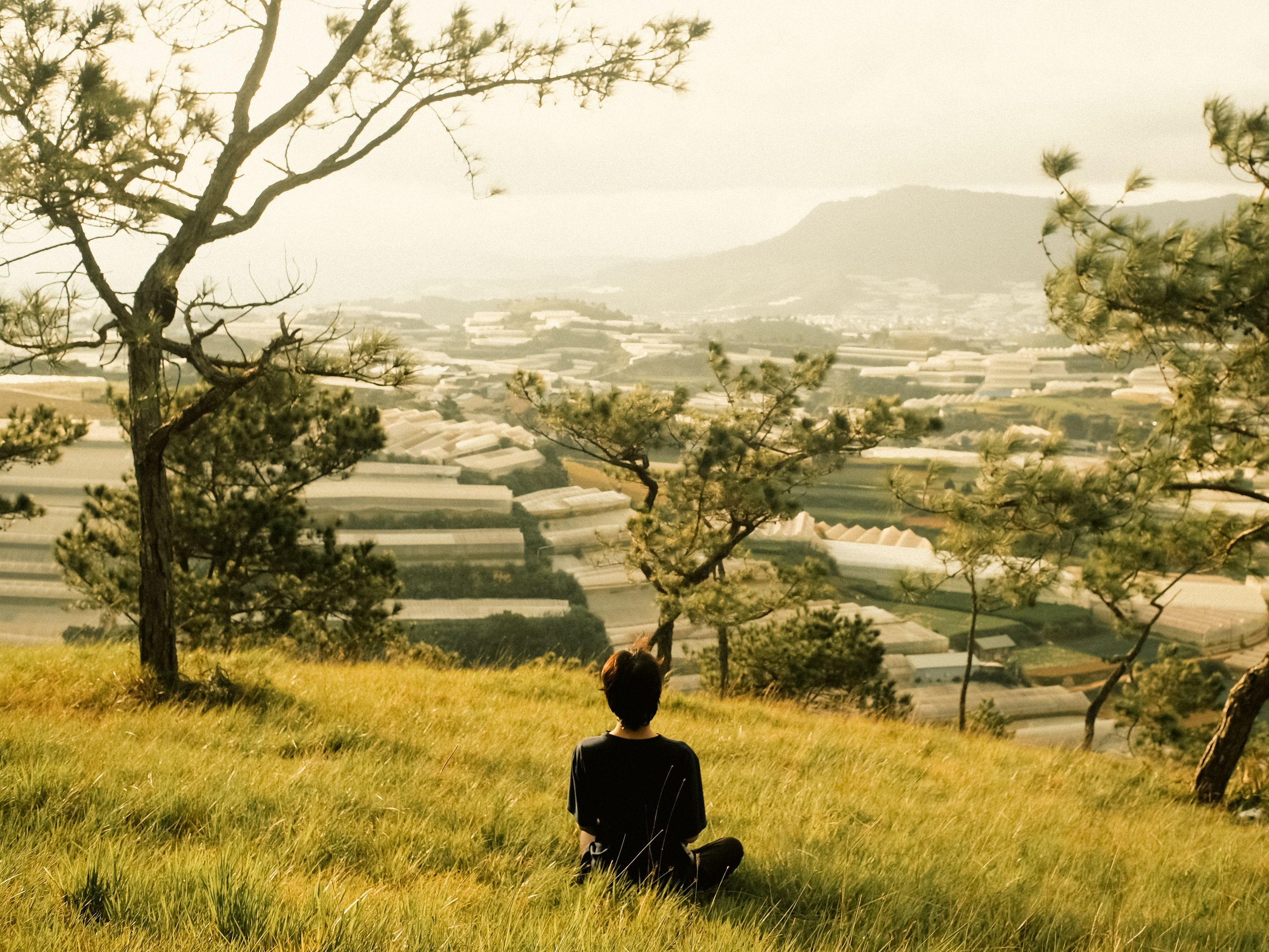 A serene scene of a person enjoying the view of rolling fields and trees at sunset.